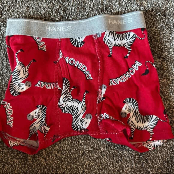 Hanes Boys' Underwear Set - Days of the Week Animal Theme NWOT - Picture 12 of 12